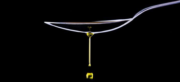 Un paseo por el sotobosque. En copa, este elixir revela el carácter indomable y sublime de la variedad cornicabra. Destellos dorados del sol castellano que despliegan aromas a higuera y alcachofa fresca, culminando en un picor tardío, vibrante y de una persistencia soberbia. Foto: agencia.