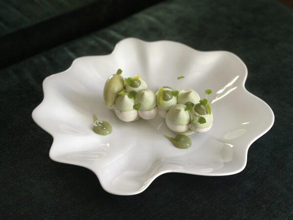 Allégorie. Pavlova Kiwi.