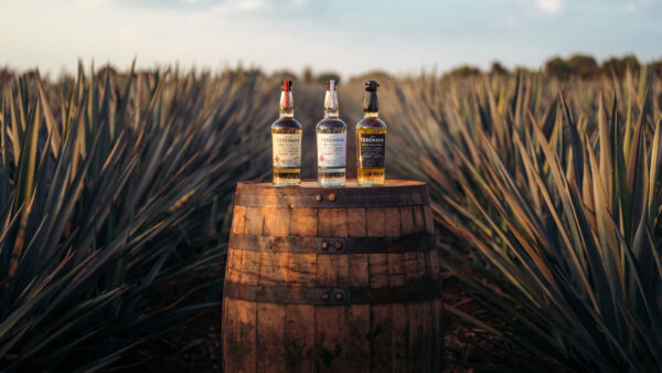 Tres expresiones, una misma actitud: Teremana® Blanco, reposado y añejo. Foto: agencia.