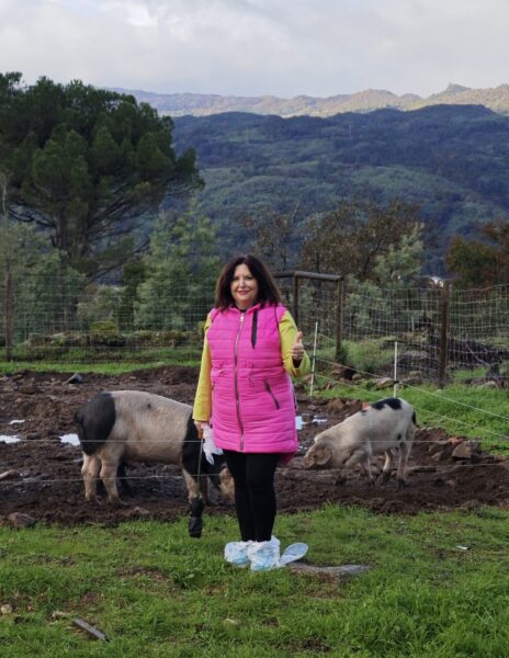 Galicia no solo cría cerdos; cría conciencia. Foto: Gastroystyle.