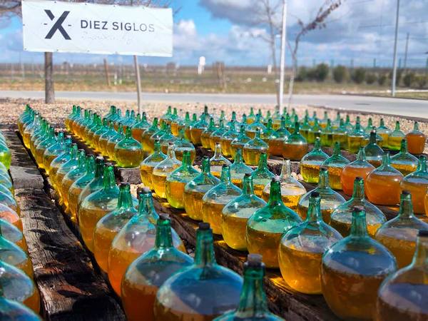 120 damajuanas situadas al aire libre, expuestas a la acción del sol y los cambios térmicos de esta zona de Castilla, preservan y transforman el vino de las uvas verdejo. Foto: agencia.