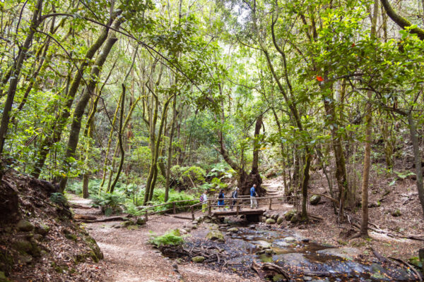 Innovación, tecnología y, sobre todo, un compromiso real con el planeta. Impactado con las nuevas propuestas de turismo sostenible en #FITUR2026. 🌿 No solo se trata de viajar más, sino de viajar mejor. Foto: Ifema.