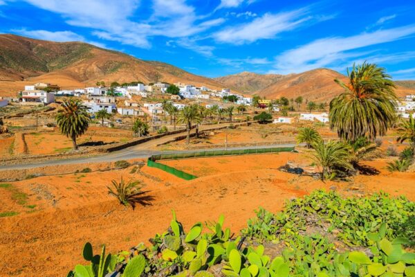 Pájara: donde el tiempo se detiene entre buganvillas. Foto: Pixabay.