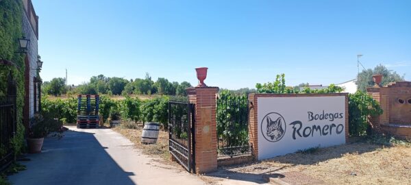 Bodegas Romero actualmente bodegas Prelum pionera en adoptar la viticultura ecológica en Extremadura. Foto: Helena Molero.