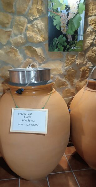 Las tinajas de barro para la elaboración de vinos promueve la clarificación natural según-afirma el-bodeguero Juan Leandro Romero. Foto: Helena Molero.