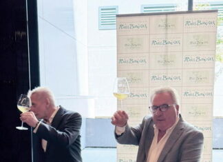 Los vinos de Rías Baixas están de celebración porque la añada 2025 es «Muy Buena» Un viaje sensorial absoluto en la presentación de la nueva y aclamada añada de la D.O. Rías Baixas. Porque, como bien sabemos en Gastro&Style, la excelencia no es un acto, sino el hábito de embotellar la paciencia, la brisa marina y el arte gallego en cada copa. ¡Salud por los placeres hedonistas que nos reconectan con la tierra!. Foto: agencia.