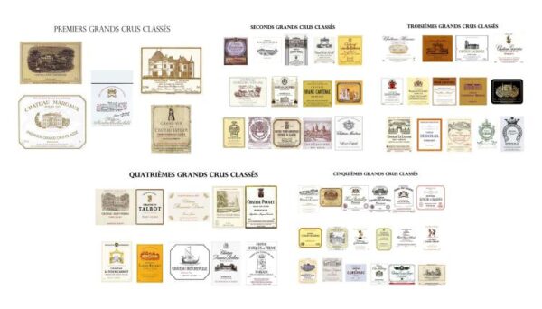 La tradición de 1855 se reinventa: Una nueva generación de propietarios lidera los grandes mitos de Burdeos hacia el futuro. El salón demostró cómo la máxima excelencia camina hoy de la mano con la vanguardia ecoclimática y la viticultura biodinámica. Foto: agencia.