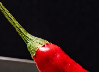 Barbudo ofrece la revolución culinaria y de altura que conquista el Barrio de Salamanca El arte del tapeo ilustrado en el corazón de Salamanca: La propuesta líquida del alquimista Juan Lizárraga se une al picoteo más castizo en la barra de Barbudo. Un diálogo perfecto entre la coctelería y la excelencia del producto ibérico. Foto: agencia.
