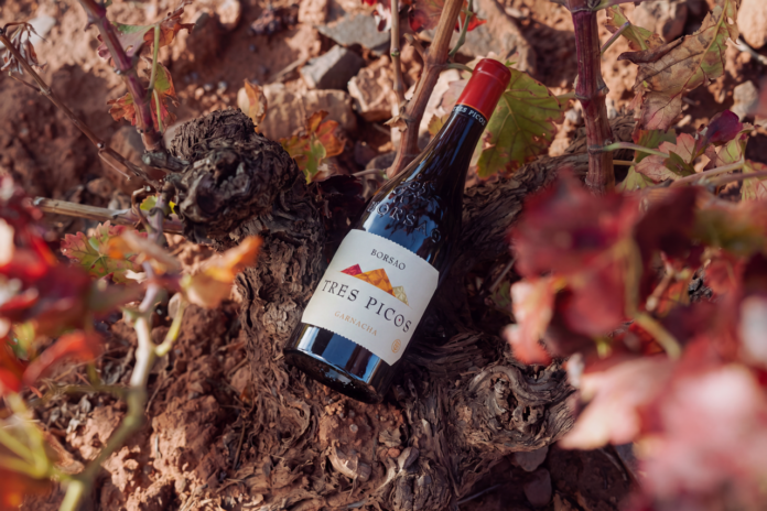 25 años reinando en las mesas más exigentes. Borsao Tres Picos celebra sus bodas de plata como el pionero que devolvió a la garnacha de Campo de Borja su trono internacional. Sofisticación, terroir y pura elegancia hedonista en cada copa. Foto: agencia.