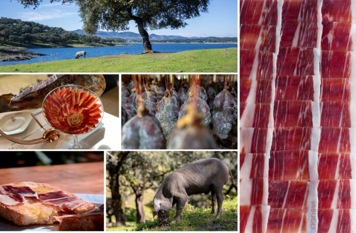 El templo del mejor ibérico: donde la dehesa, la paciencia serrana y el arte del corte se convierten en pura alta gastronomía. Foto: agencia.