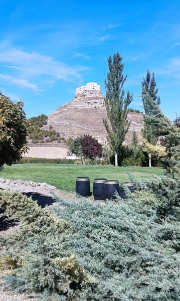 Desde la bodega se aprecia el castillo de Curiel. Hoy el establecimiento hotelero y punto mas alto de la provincia de Valladolid. Foto: autora.